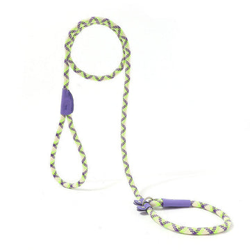 Hands-Free Dog Leash